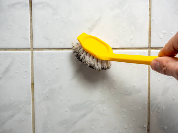 Best Mold Testing  in Frisco City, AL
