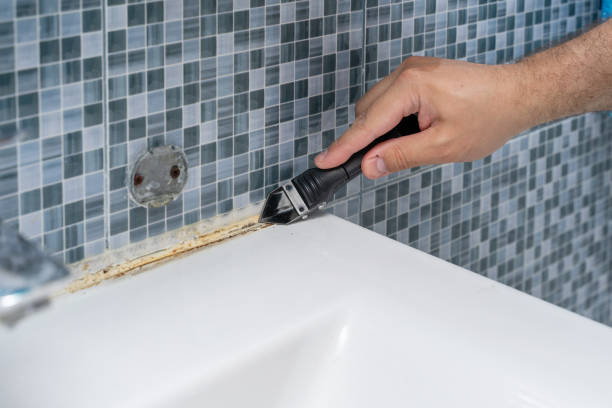 Best Commercial Mold Removal  in Frisco City, AL